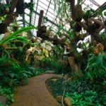 5 Destinasi Segar di Bogor untuk Menyegarkan Dirimu saat Liburan Lebaran