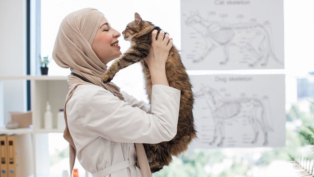 Mengungkapkan Misteri: Mengapa Kucing Tidak Memasuki Surga dan Penjelasannya Lengkap