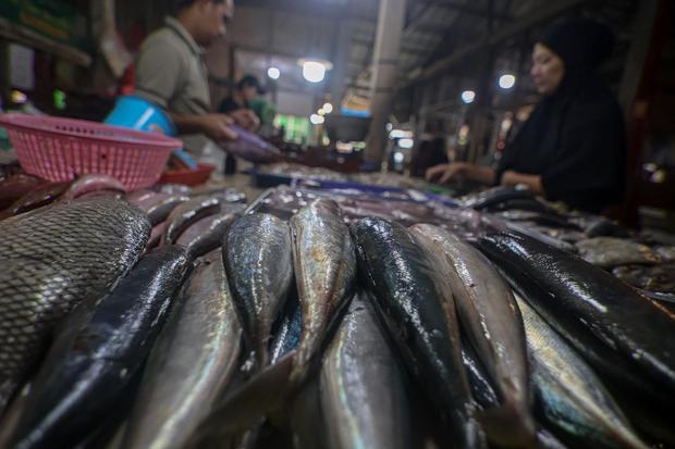 Menteri KKP Bahas Tarif Impor untuk Melindungi Industri Perikanan Nasional