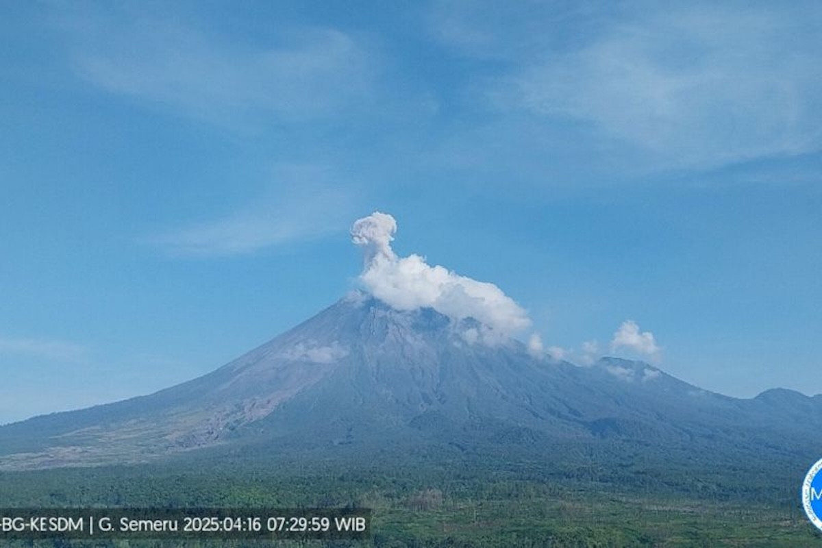 Waspada Kembali: Gunung Semeru Meletus, Asap Naik Hingga 1.000 Meter