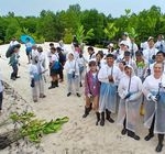 Duta Besar AS Serukan Penanaman Bakau oleh Pemuda dari 11 Negeri di Hutan Mangrove Presiden Batam